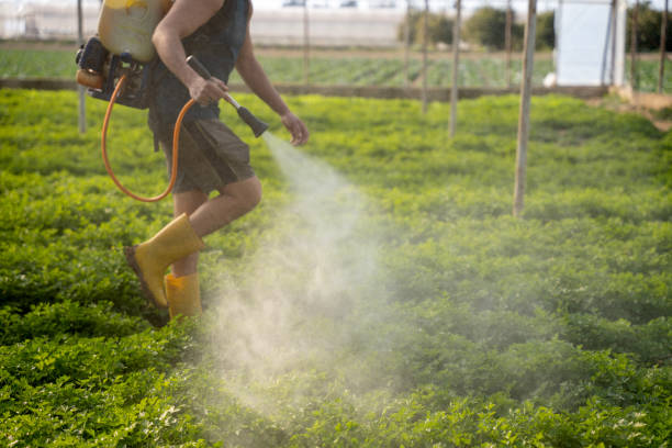 Best Mosquito Control Services  in Kalamazoo, MI