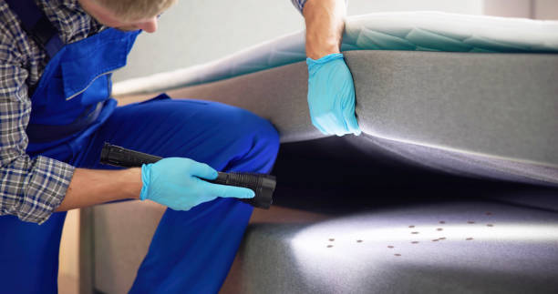 Best Best Pest Control Companies  in Kalamazoo, MI