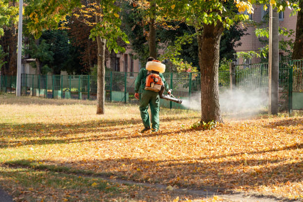 Best Wasp Removal Services  in Kalamazoo, MI