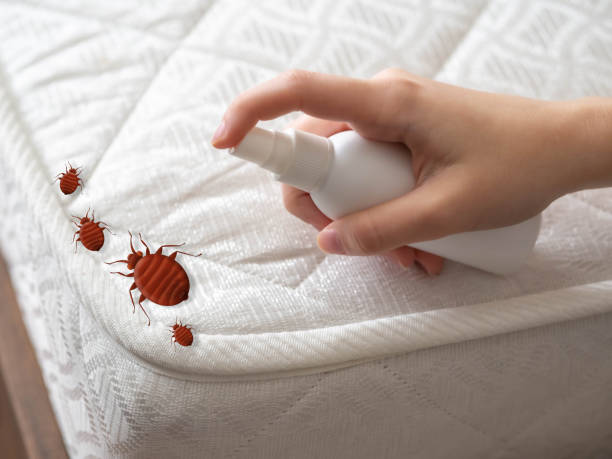 Best Bed Bug Extermination  in Kalamazoo, MI