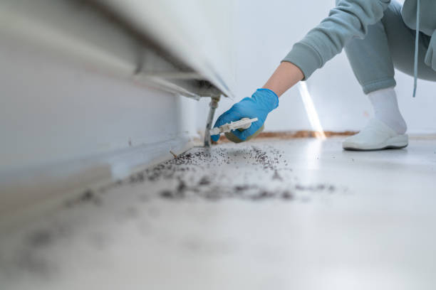 Best Emergency Pest Control  in Kalamazoo, MI